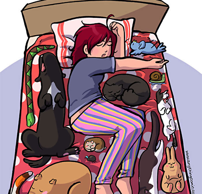 Tetris war gestern – heute spielen wir Petris